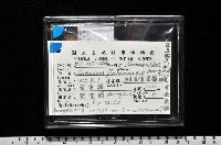 金崙栗蝸藏品圖，第10張