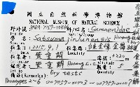 金崙栗蝸藏品圖，第12張