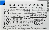 金崙栗蝸藏品圖，第12張