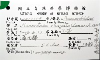 長形紫雲蛤藏品圖，第4張