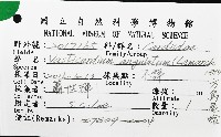 方鳥尾蛤藏品圖，第8張