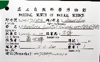 皺肋文蛤藏品圖，第6張