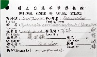 軟帽峨螺藏品圖，第6張