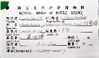 日本鳳螺藏品圖，第6張
