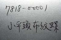 小平頭布紋螺藏品圖，第11張