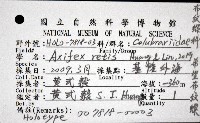 希望布紋螺藏品圖，第8張