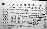 發現布紋螺藏品圖，第12張