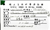 紅袖鳳凰螺藏品圖，第16張