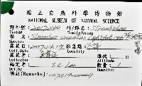 紫袖鳳凰螺藏品圖，第16張