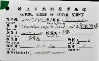 金拳鳳凰螺藏品圖，第16張