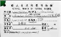 金斧鳳凰螺藏品圖，第20張