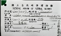 巴西粗齒鶉螺藏品圖，第16張