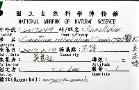 豔紅美法螺藏品圖，第16張