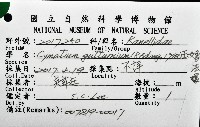 玉女象法螺藏品圖，第16張