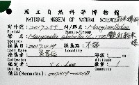 艷紅穀米螺藏品圖，第16張