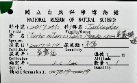 美麗蠑螺藏品圖，第20張