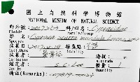 黑網目寶螺藏品圖，第16張