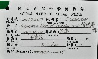 瘦熊寶螺藏品圖，第12張