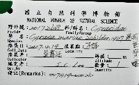 瑪莉亞寶螺藏品圖，第12張