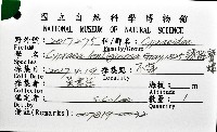 銹斑寶螺藏品圖，第16張