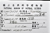 黑蜷藏品圖，第12張