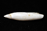 飛彈螺藏品圖，第7張