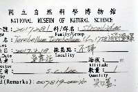 飛彈螺藏品圖，第12張