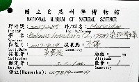 染料骨螺藏品圖，第12張