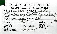 孟加拉芋螺藏品圖，第16張