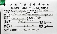 胭脂芋螺藏品圖，第12張