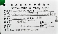 海軍上將芋螺藏品圖，第16張