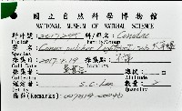 大芋螺藏品圖，第16張