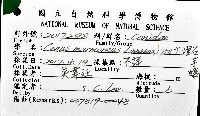 大理石芋螺藏品圖，第16張