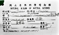 帝王芋螺藏品圖，第12張