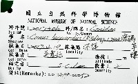 密碼芋螺藏品圖，第16張