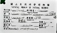 字碼芋螺藏品圖，第12張