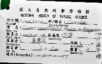 沙漏芋螺藏品圖，第12張