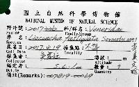 秀美文蛤藏品圖，第16張