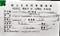 地圖寶螺藏品圖，第12張