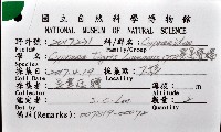 黑星寶螺藏品圖，第16張
