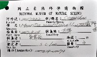 龜甲寶螺藏品圖，第12張
