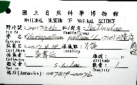 油畫海扇蛤藏品圖，第12張
