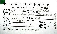 垂簾海扇蛤藏品圖，第12張
