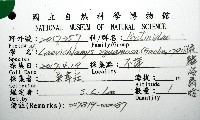 疏鱗海扇蛤藏品圖，第16張