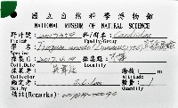 草莓鳥尾蛤藏品圖，第12張
