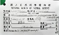 南洋鳥尾蛤藏品圖，第12張