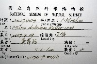 登錄號:007819-00116藏品圖，第8張