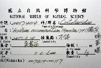 鐵灰蛹筆螺藏品圖，第8張
