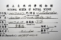 登錄號:007819-00120藏品圖，第12張