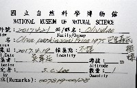 巴金森氏榧螺藏品圖，第12張